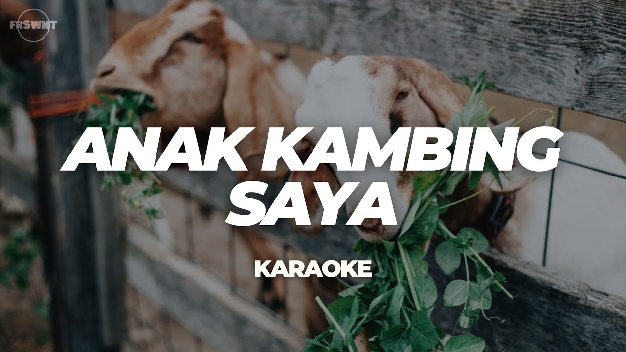 ANAK KAMBING SAYA | KARAOKE (FRSWNT)