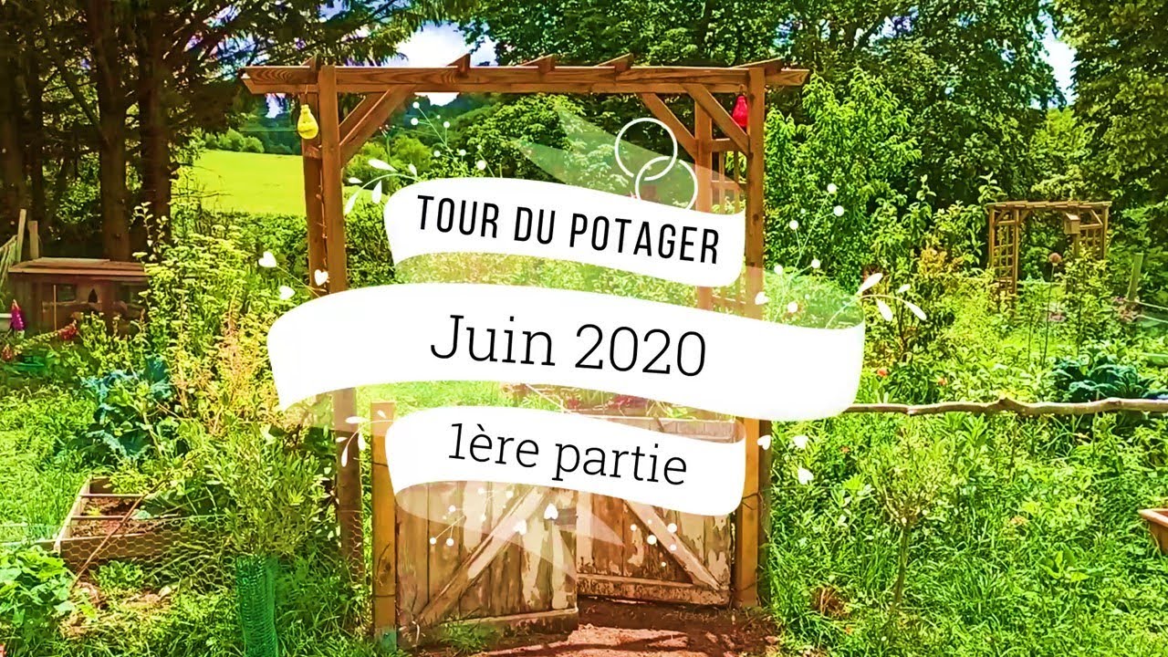 Tour du jardin - Un jardin nourricier ça ressemble à quoi ? Partie 1