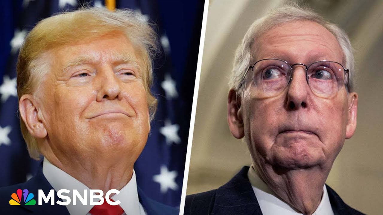 GOP hypocrite? ‘McConnell can’t stand Trump,’ Never Trumper says of possible endorsement