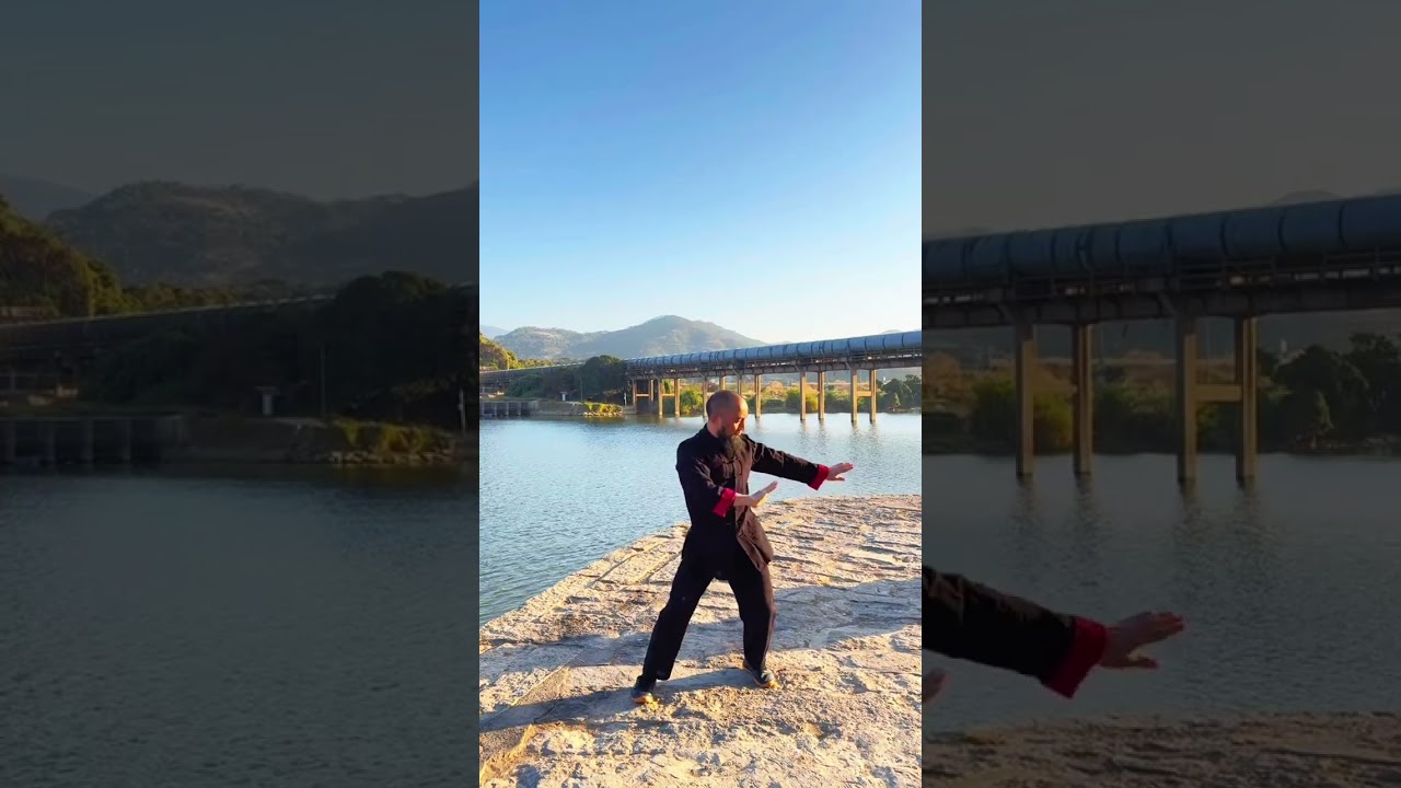 Chen-style Taijiquan 