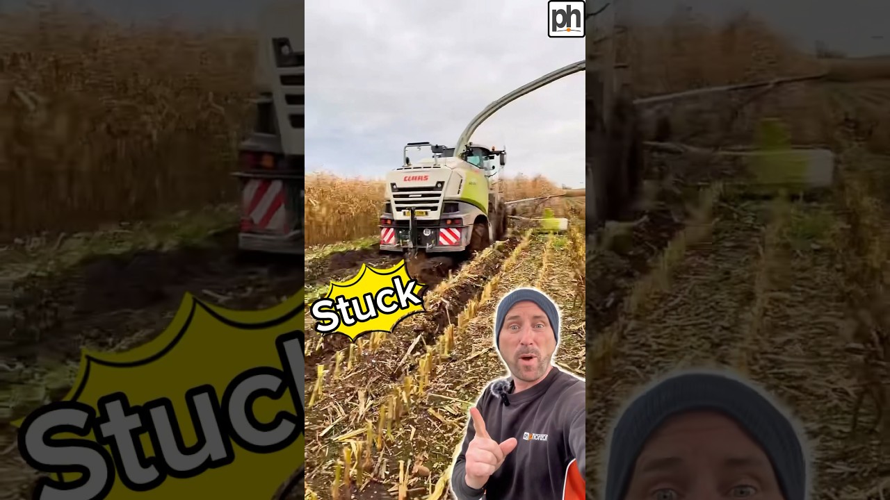 It Went Down! What a Challenging Maize Harvest Season