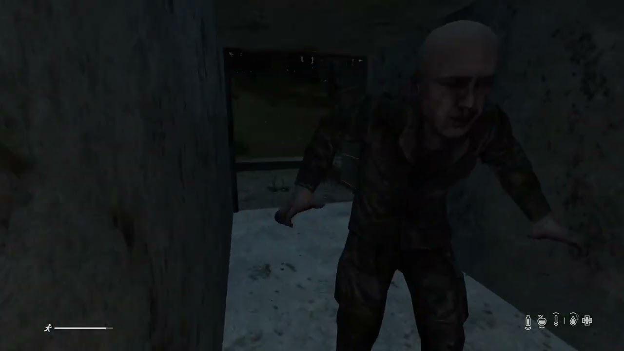 Dayz (Part 1/2)