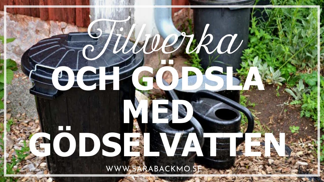 Tillverka och gödsla med gödselvatten
