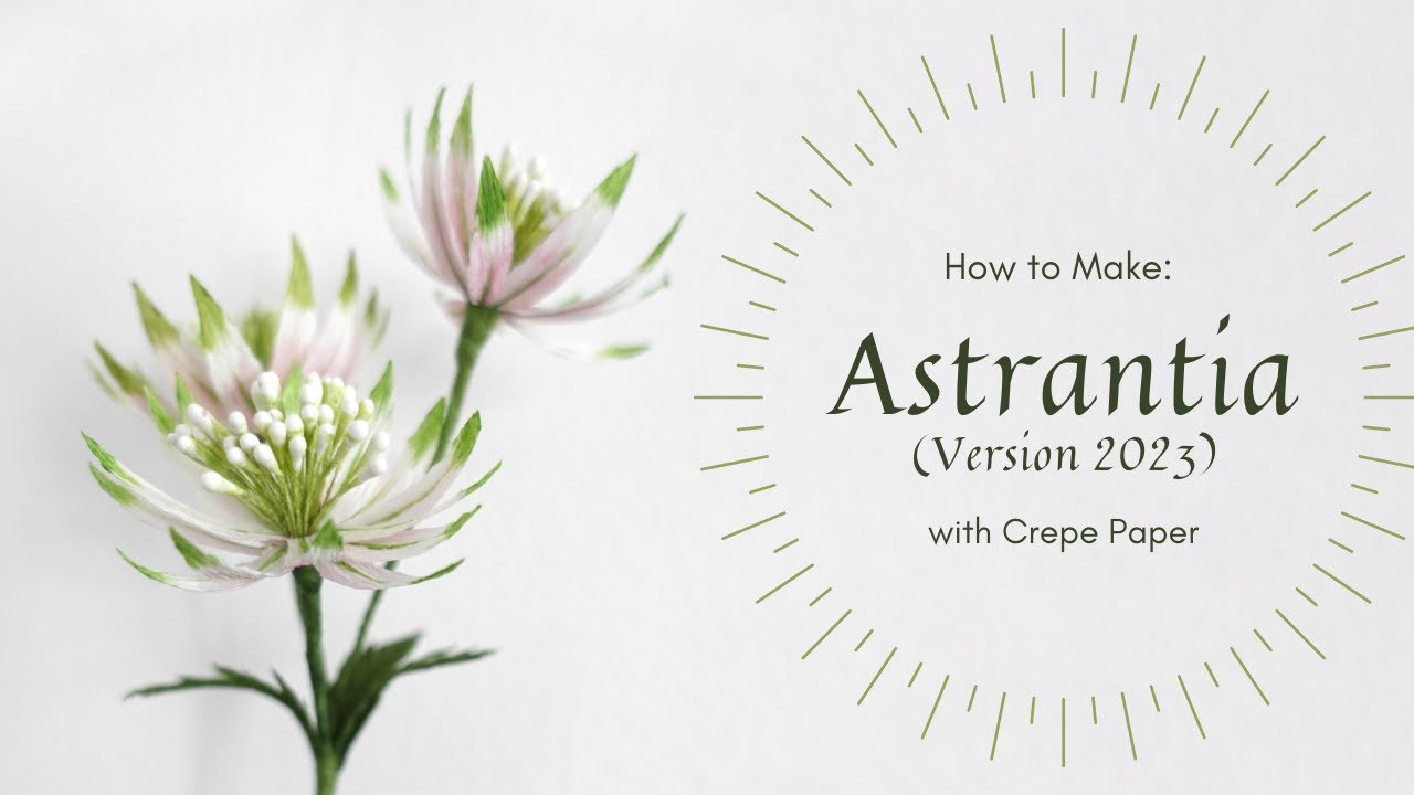 NEW METHOD TO MAKE PAPER ASTRANTIA | FILLER FLOWERS
