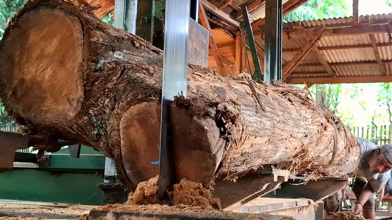 🌲DANGEROUS AND TERRIFYING! WOOD CUTTING MACHINES for joglo house frames 