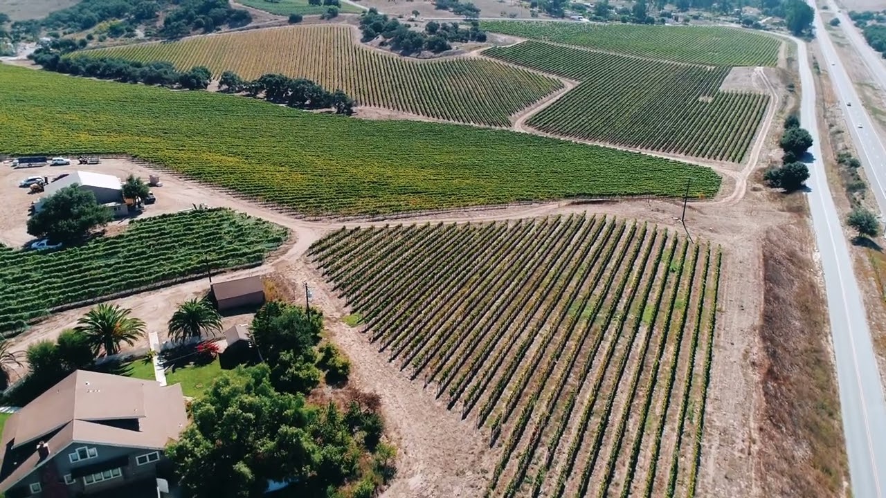 Solomon Hills Vineyard Virtual Tour