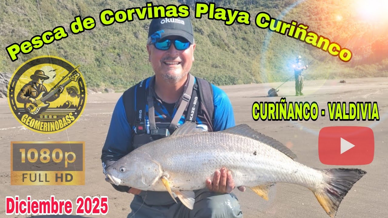 Pesca de Corvinas en Playa Curiñanco, Valdivia - Región de Los Ríos,  Chile. Diciembre 2025
