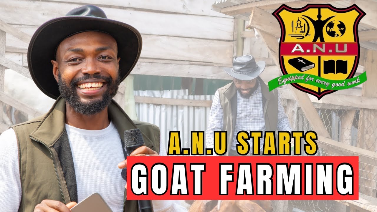 SEMANHYIA FARMS SETS UP A GOAT FARM FOR GHANA’S FIRST PRIVATE UNIVERSITY
