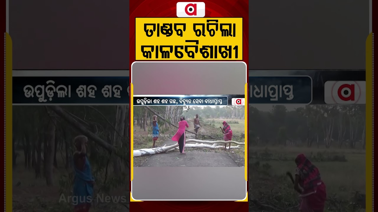 ତାଣ୍ଡବ ରଚିଲା କାଳବୈଶାଖୀ | Udala | Kalabaishakhi Havoc | Odisha Weather | Mayurbhanj | Argus News