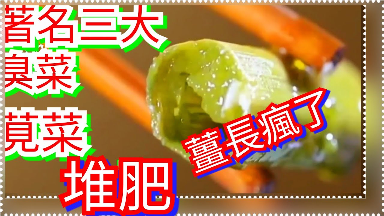 台灣遍地是寶【臭豆腐之酵母～莧菜堆肥～薑長瘋了】三大著名臭菜 之一……