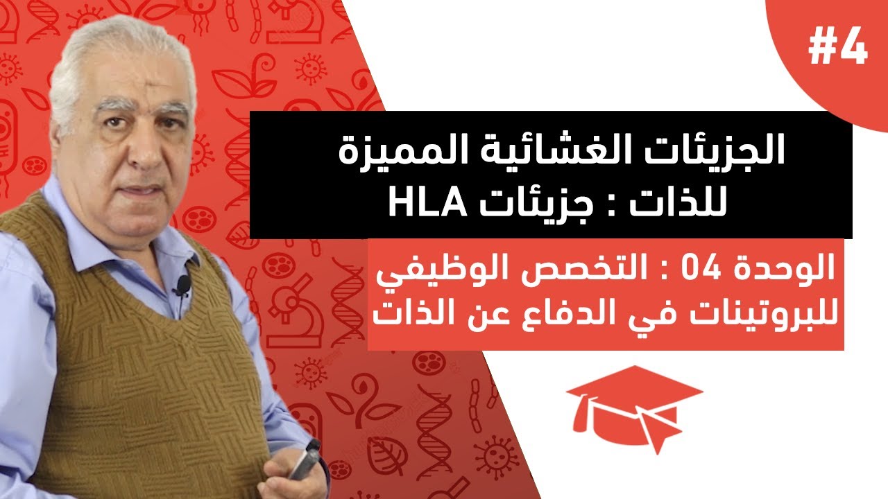 #4 الجزيئات الغشائية المميزة للذات : جزيئات HLA ( الجزء الثاني )