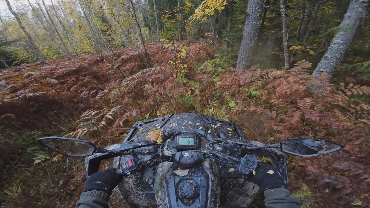 Autumn trail riding /Cforce 625- 2022, 9136km/