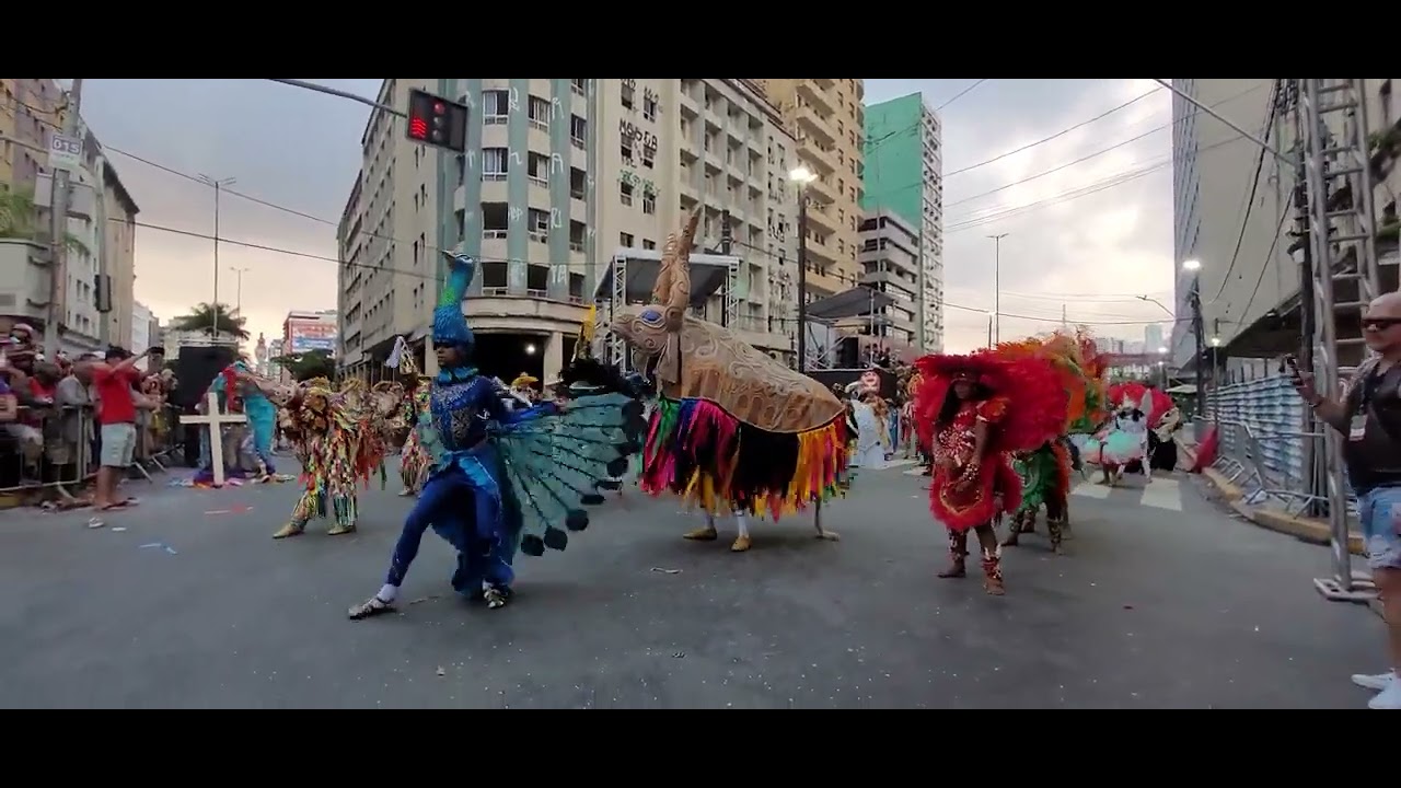 Boi Maracatu no Concurso da cidade do Recife 2024
