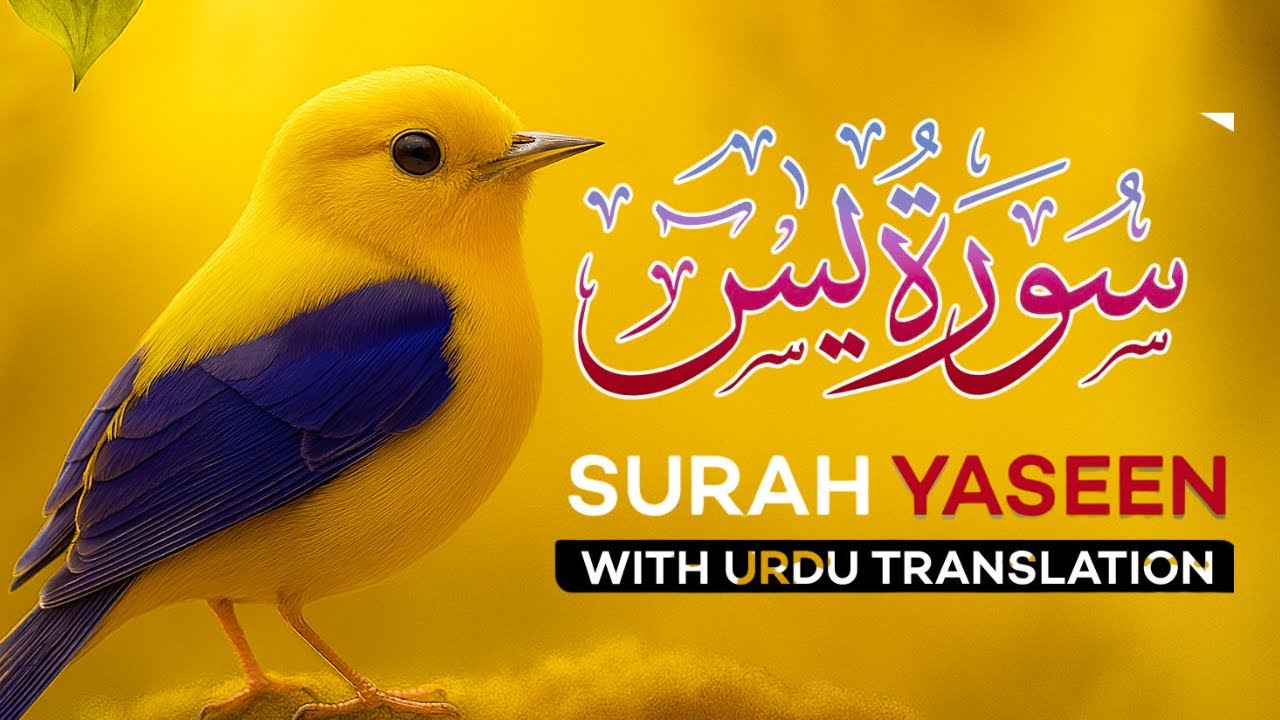 Surah Yaseen | Surah Yaseen With Urdu Translation | Episode - 75| Qari Athar Sahib