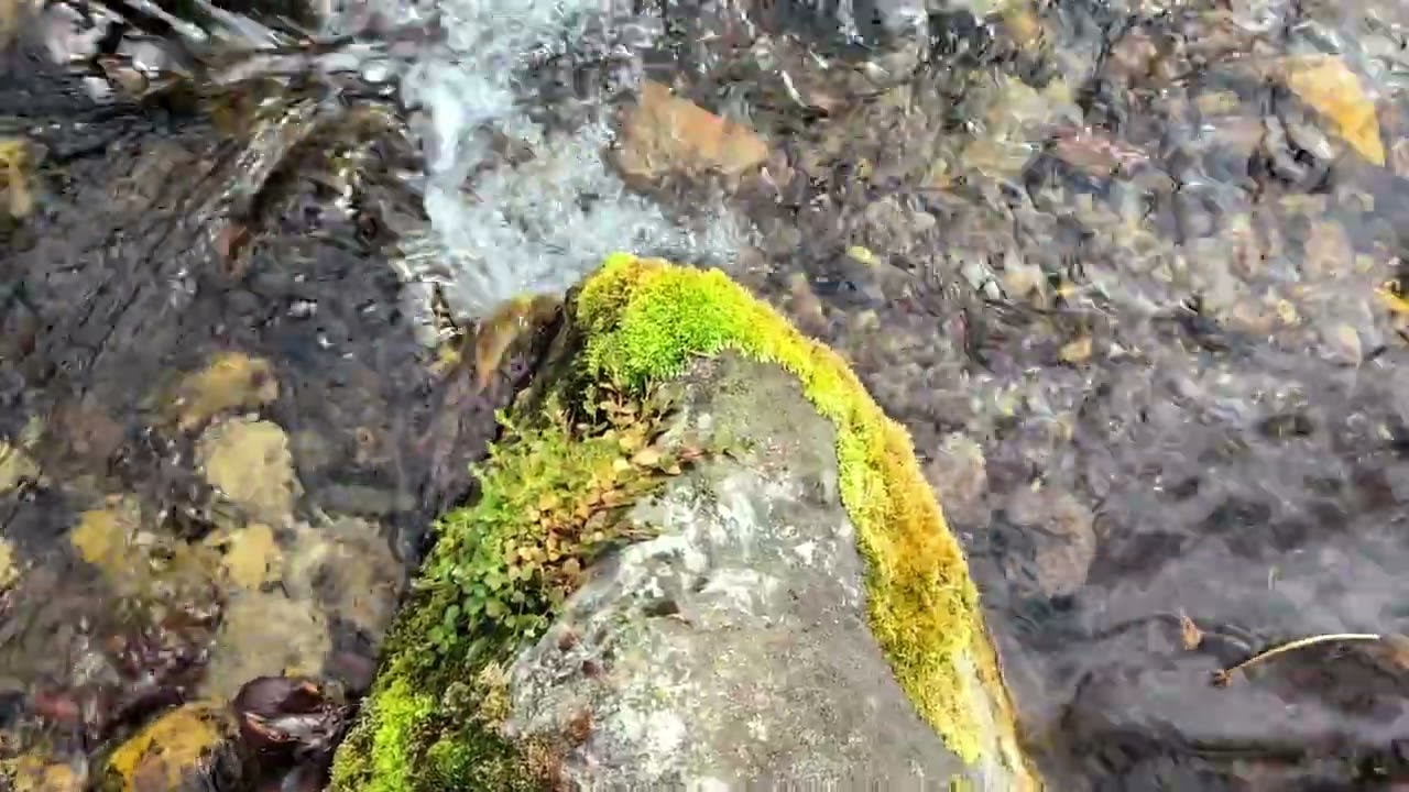 Boulder in the Stream