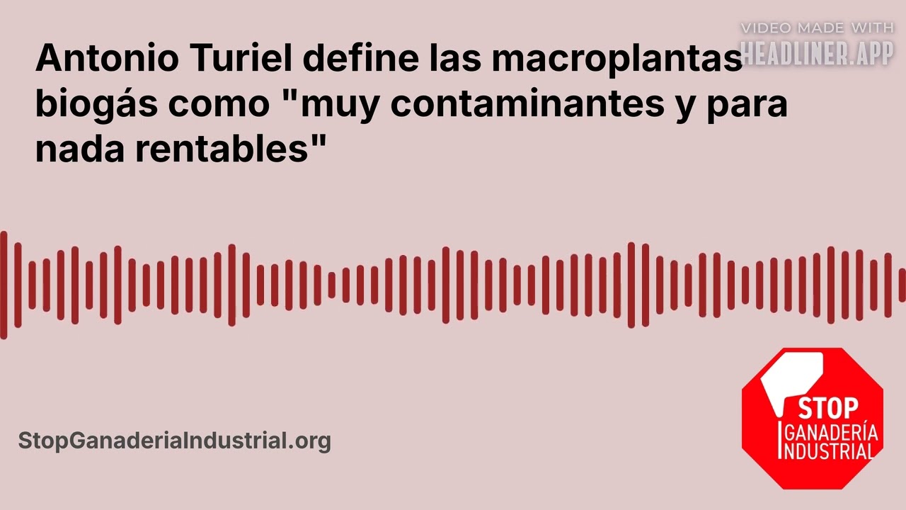 Antonio Turiel define las macroplantas biogás como 