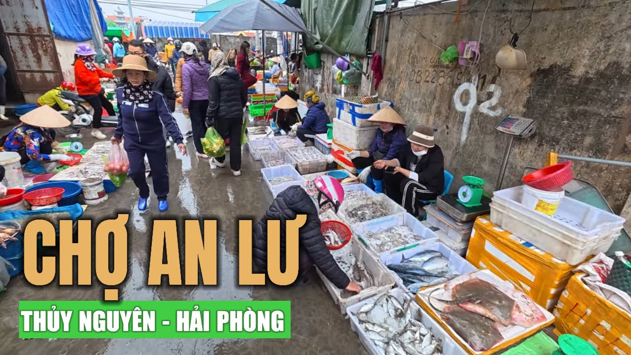 Chợ chiều An Lư & Núi Đèo (Thủy Nguyên, Hải Phòng) | 25.01.2026.