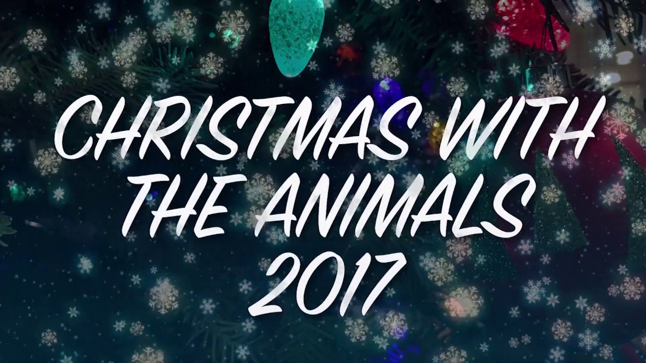 Christmas with the Animals 2017