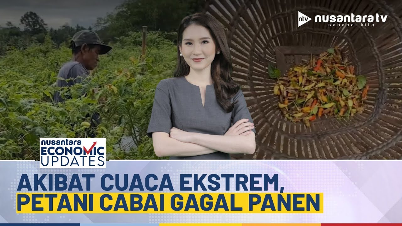 [LIVE] Akibat Cuaca Ekstrem, Petani Cabai Gagal Panen di Banten | NEU