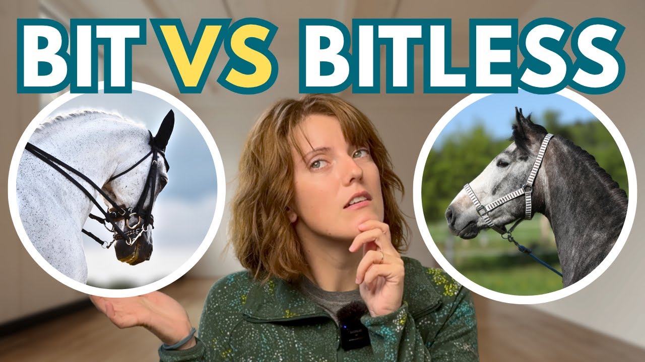 Bit VS Bitless: что лучше?