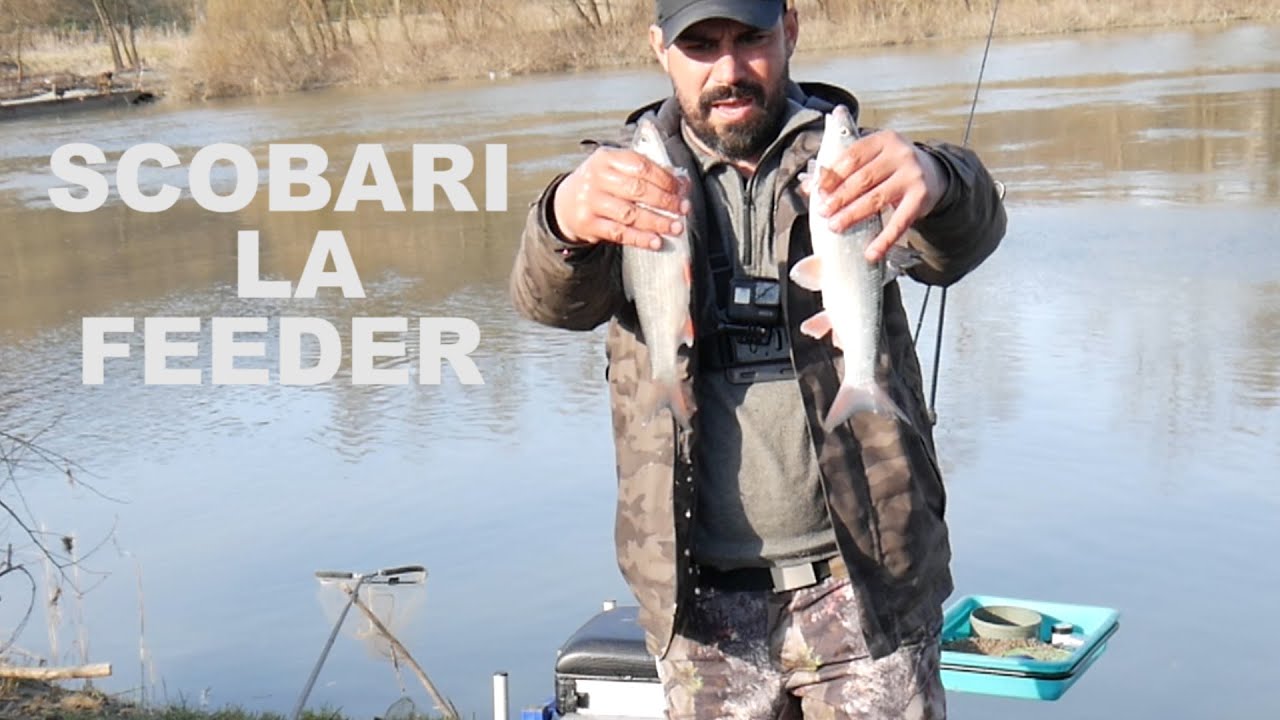Cum sa prinzi scobari la feeder primavara pe rau.