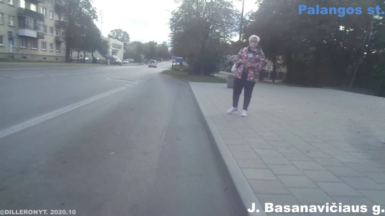1 SAVANORIU ŽIEDAS - TURGUS - AUTOBUSU STOTIS - ZOKNIU ŽIEDAS