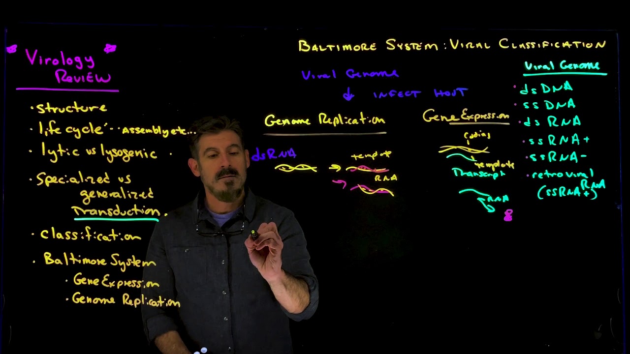 Viral Classification Overview