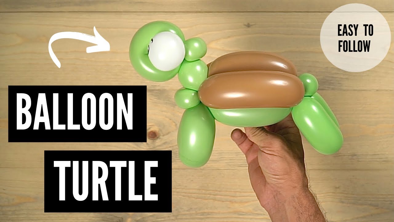 How to Make a Balloon Turtle