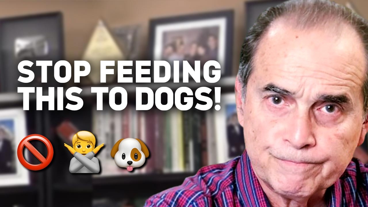 #1416 The Truth About Dog Food and Cancer