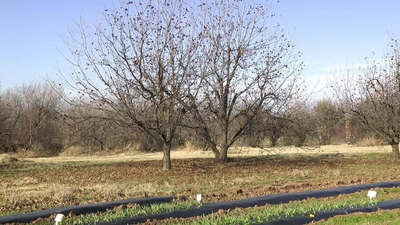 Canadian County farmer struggles with rising property taxes