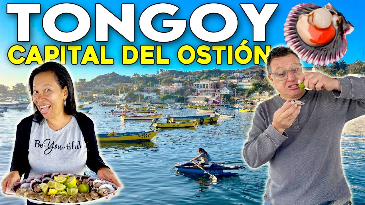TONGOY - Un paraíso en el norte de Chile (con Precios!!)