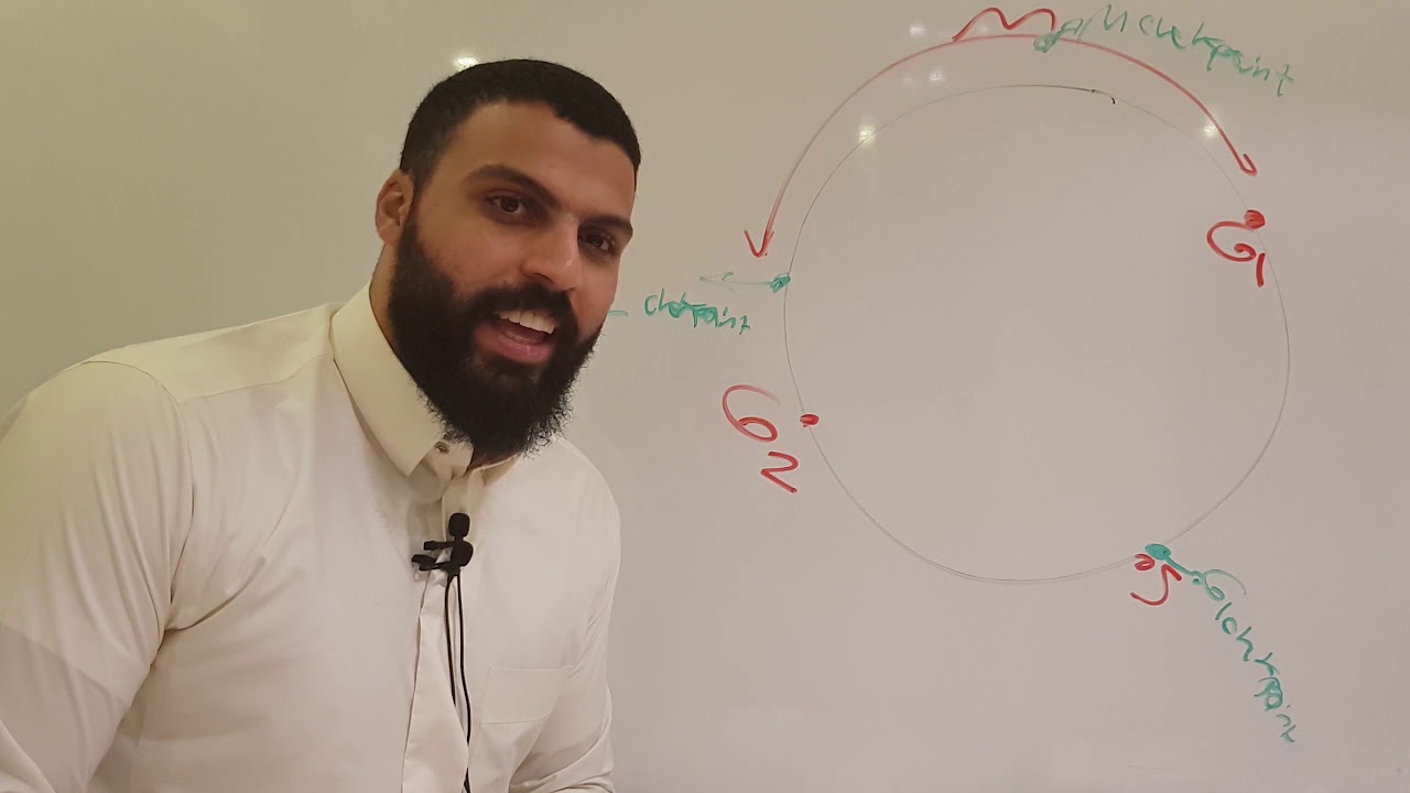 DNA repair 2 ( part 2 ) 