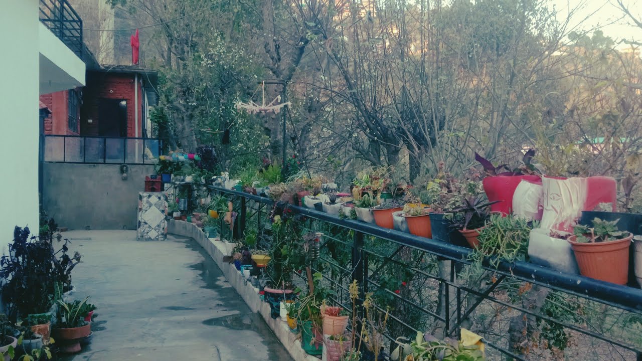 फर्स्ट टाइम दिया अपने गार्डन का पूरा टूर /Garden over view@Aaradhya garden tips