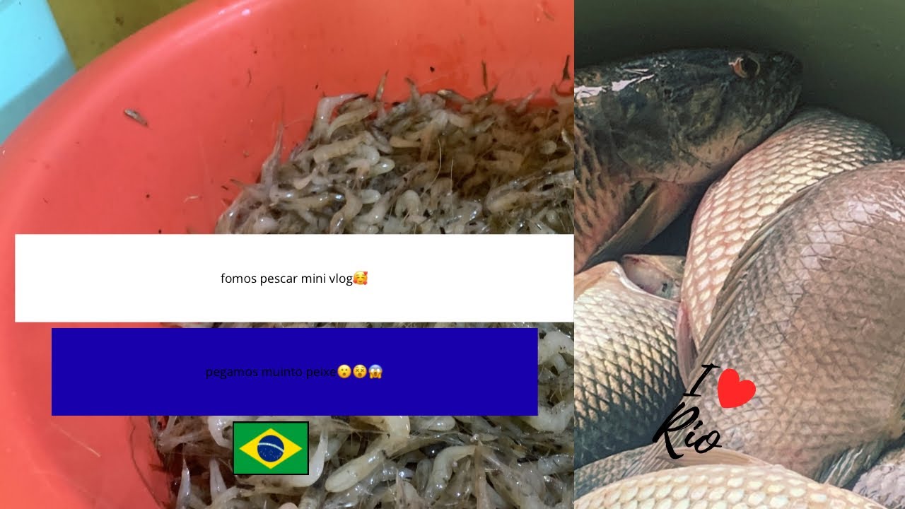 Fomos pescar no rio nos divertimos muinto 😍