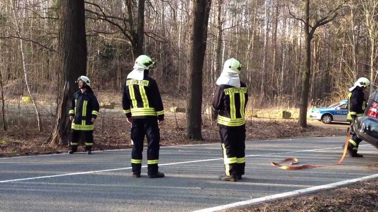 Pkw gegen Baum | Feuerwehr Pulsnitz