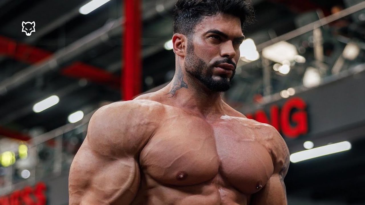 BAD WOLF 🐺 - Sergi Constance