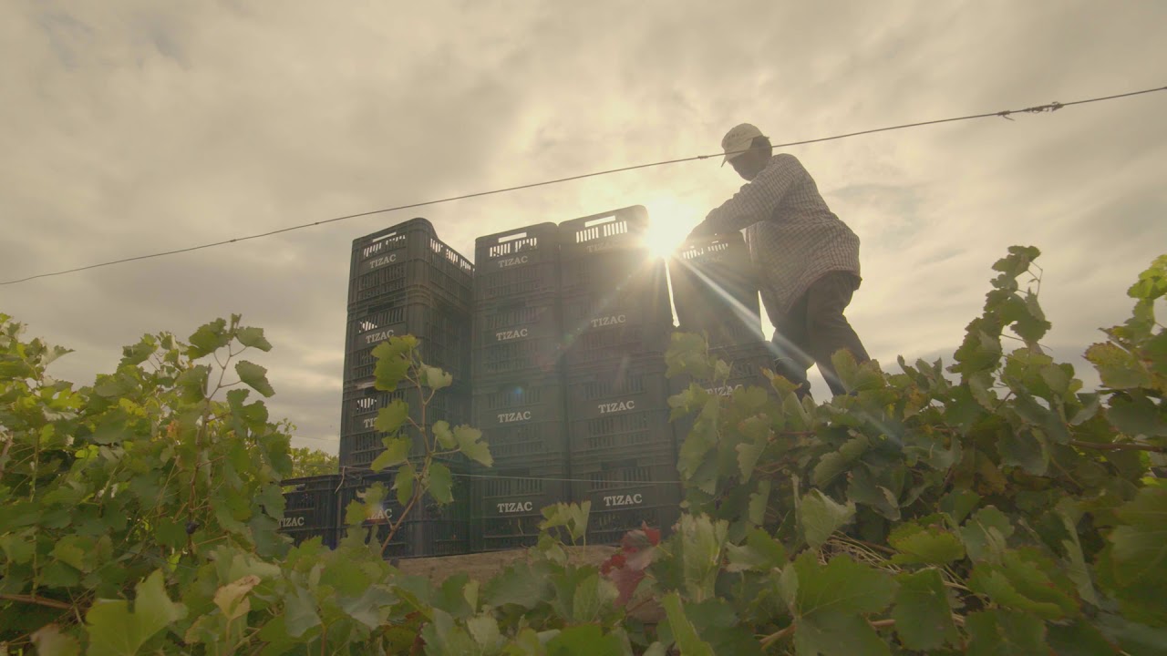 Trailer  Las Voces del Vino