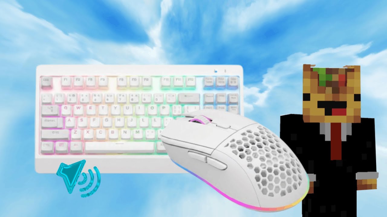 ASMR Keyboard and Mouse Sounds | Hive Bedwars.