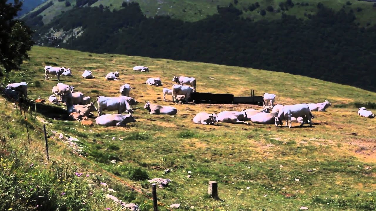 Monti Sibillini -Video Ufficiale- (Sassotetto Bolognola)