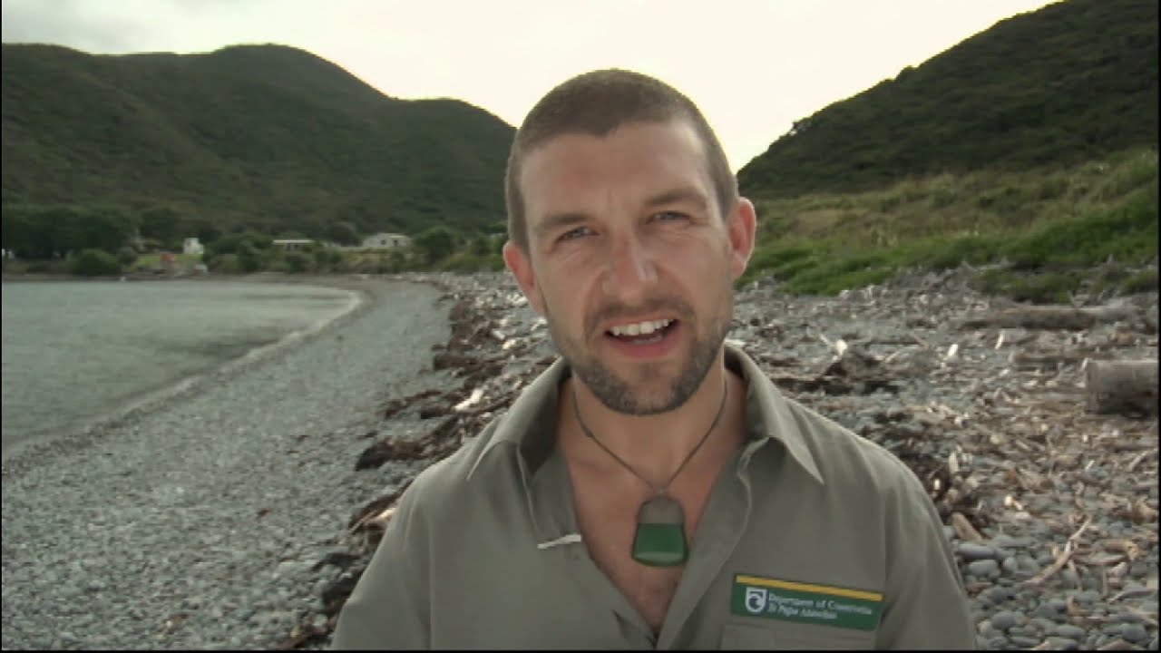 Meet the Locals: Kiwi tracker