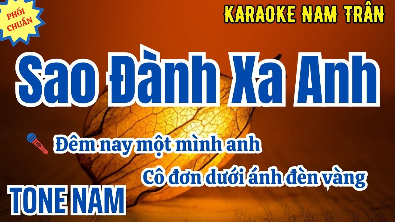 Karaoke Sao Đành Xa Anh Tone Nam | Nam Trân