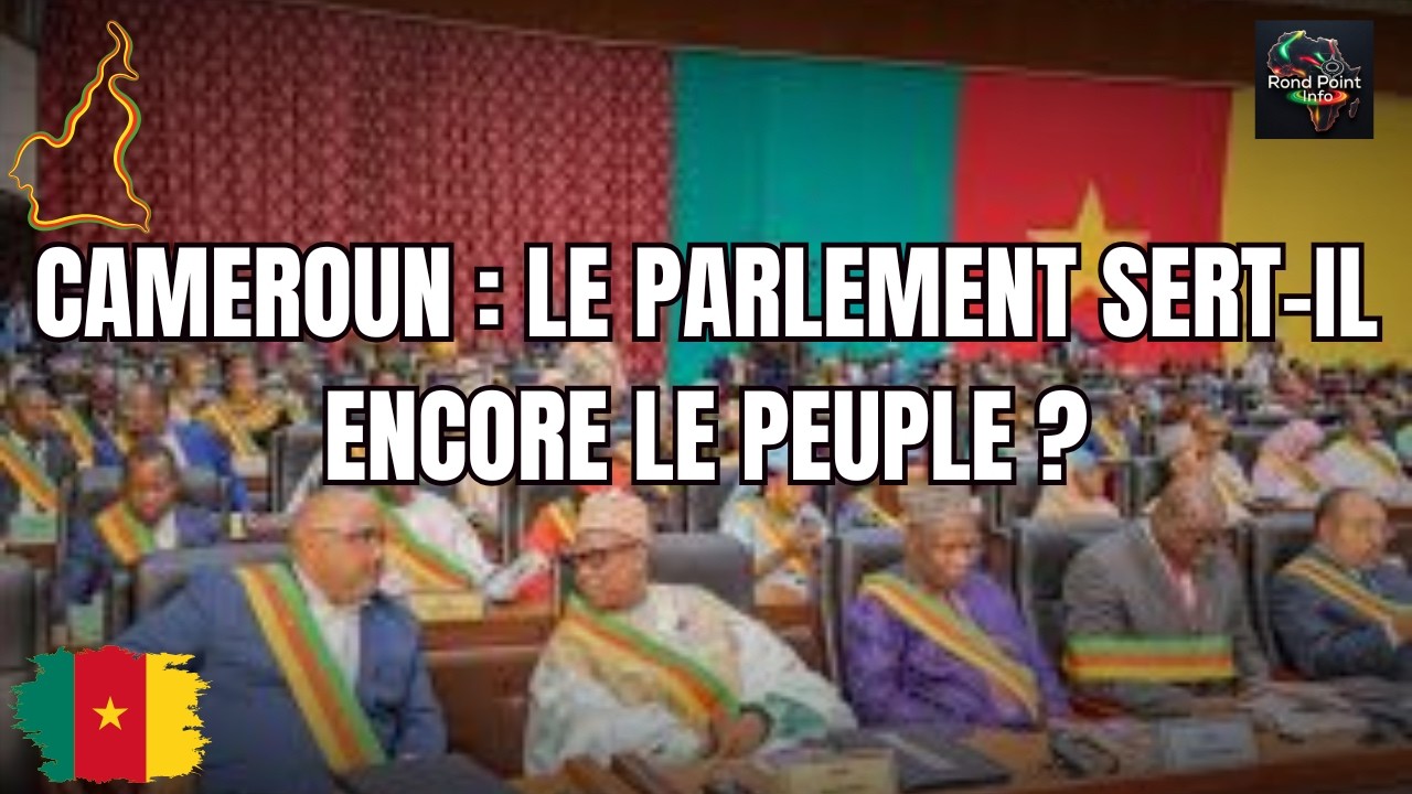 ASSEMBLÉE NATIONALE ET SÉNAT : QUI DÉCIDE VRAIMENT AU CAMEROUN ?