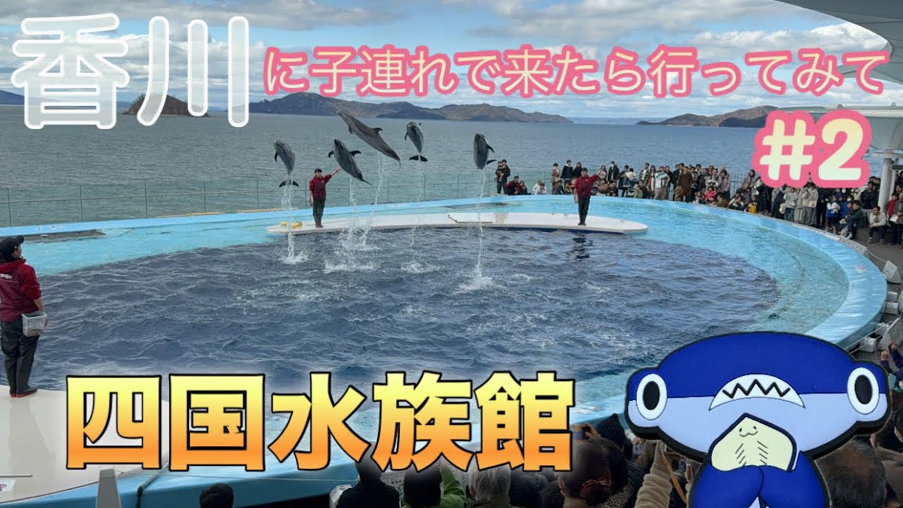 【四国水族館】子連れで香川県に来たら行ってほしい2