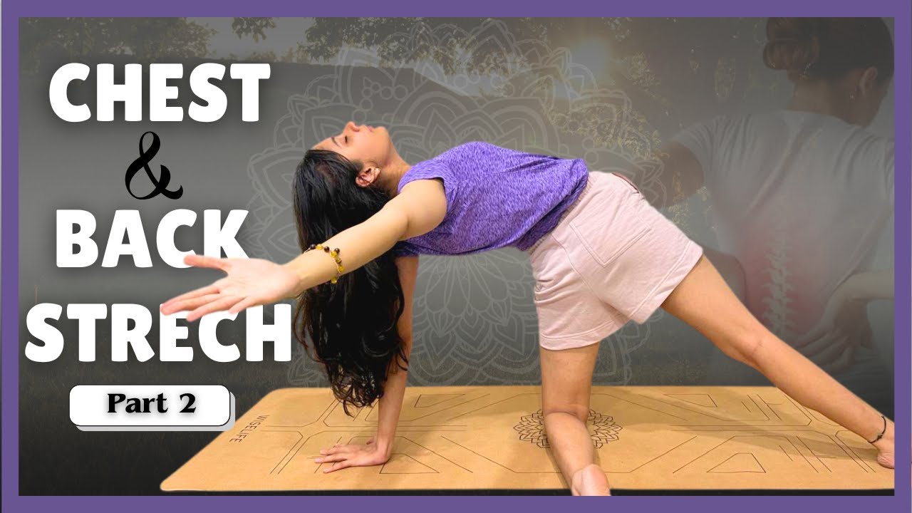 15 min Chest & Back Stretch for Good Posture, Pain Relief | Basic Flexibility Series