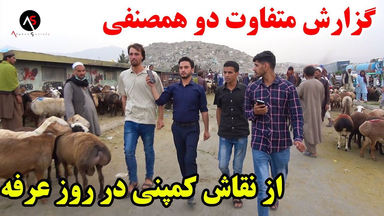 گزارش متفاوت دو همصنفی که بعد از چند سال باهم رسیدن از نقاش و افزایش چشمگیر مواشی در روز عرفه
