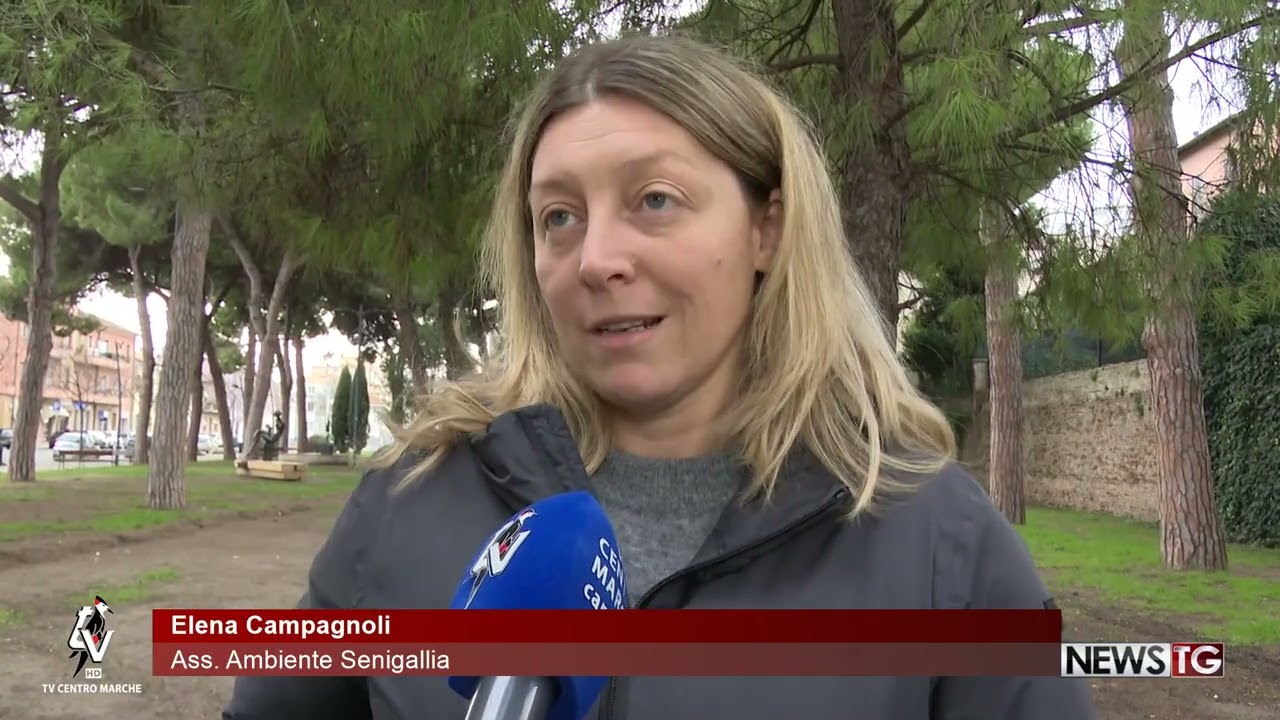 A Senigallia scatta la lotta alla processionaria