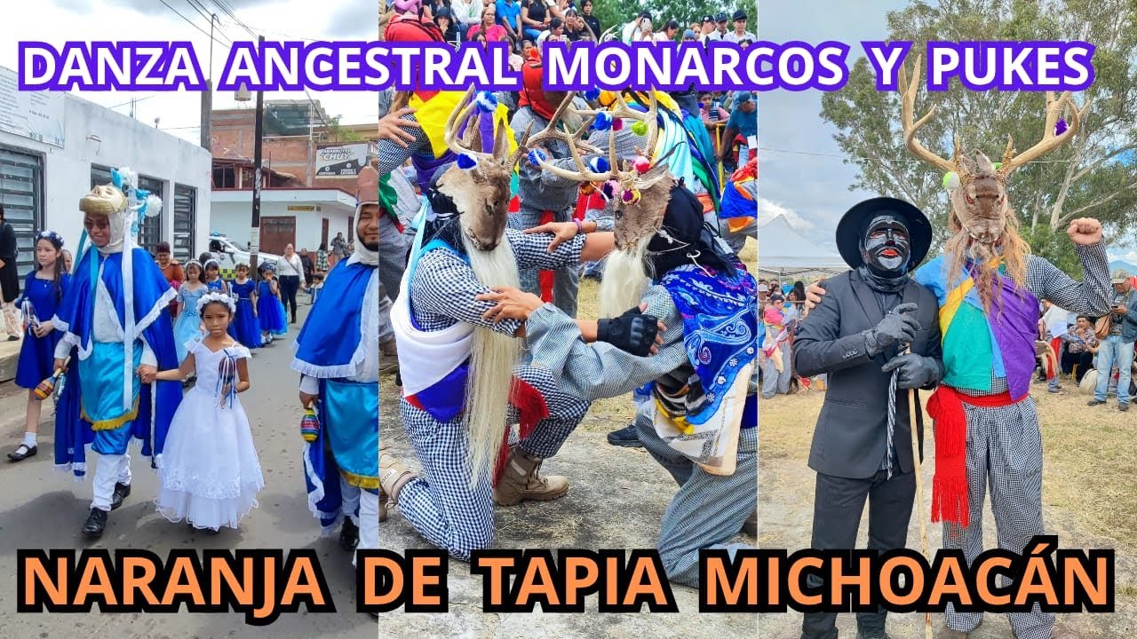PUKES y MONARCOS Danza Ancestral El Corazón Purépecha Late en NARANJA DE TAPIA MICHOACÁN