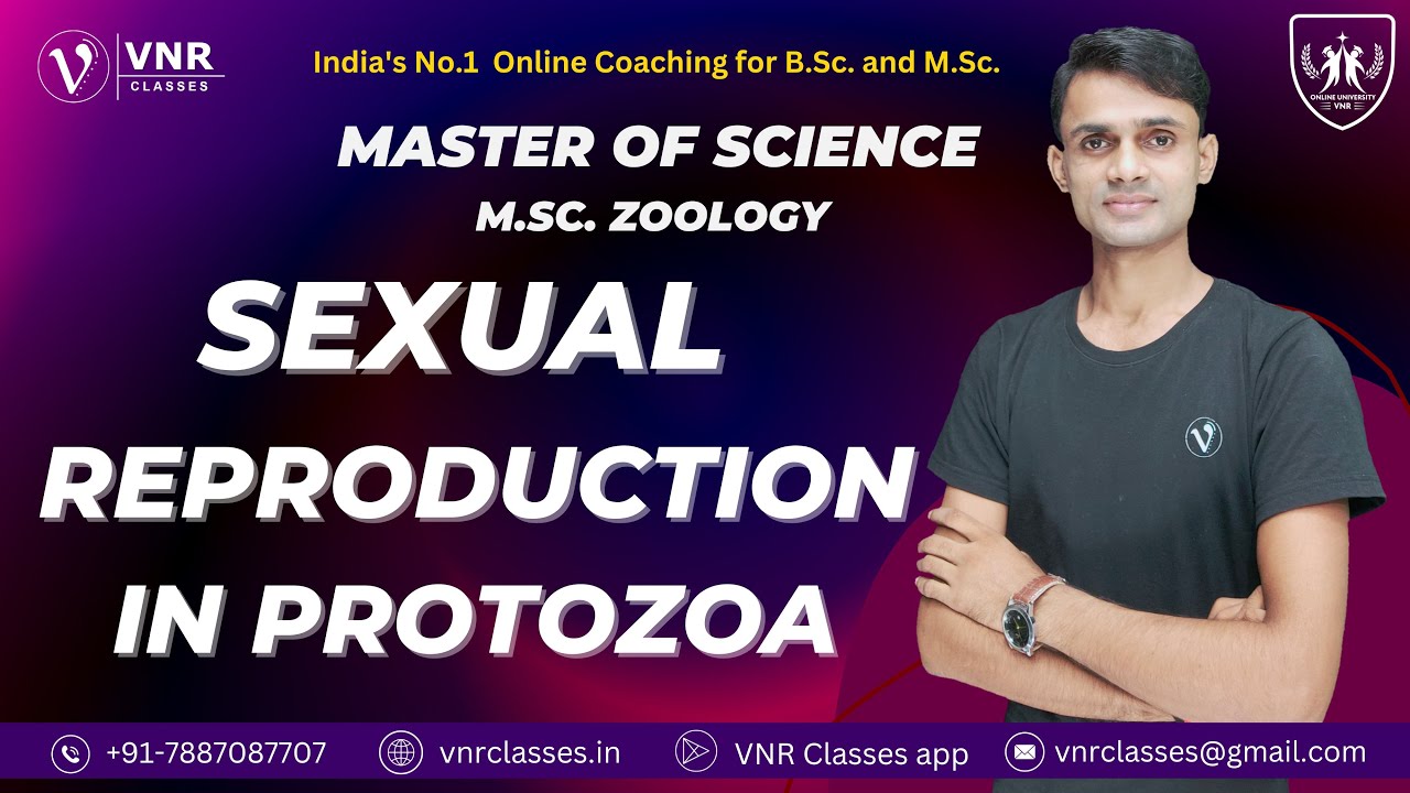 3. SEXUAL REPRODUCTION IN PROTOZOA | M.Sc. SEMESTER- I | ZOOLOGY | UP M.Sc. BATCH 2023