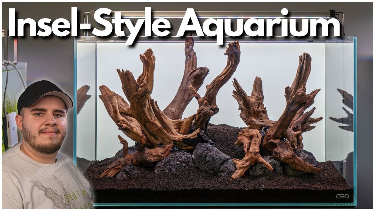 Aquascaping Tutorial: 60cm Insel-Style Aquarium einrichten!