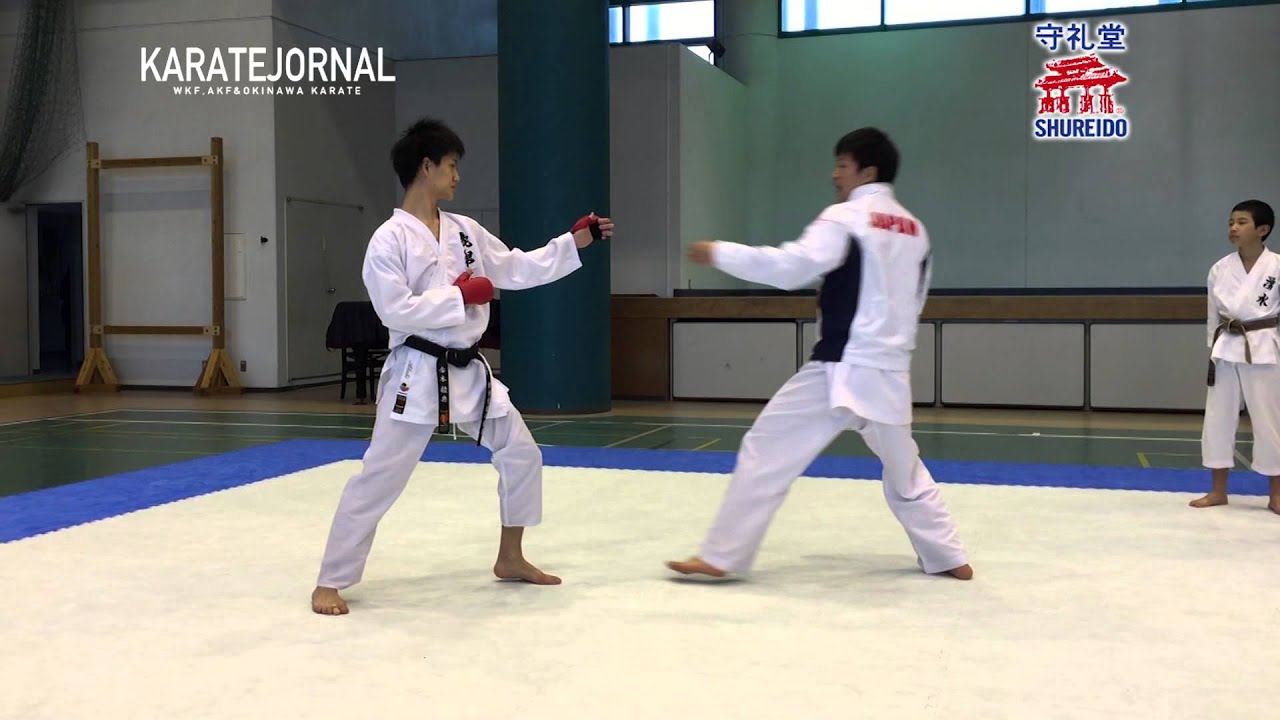 ARAGA RYUTARO 荒賀龍太郎刻み突きフォームトレーニング